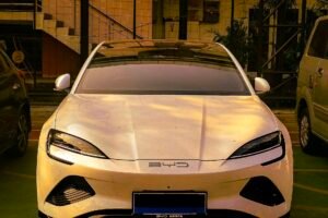 BYD News Today: How Elon Musk's Tesla Was Crushed By BYD by Tech Is The Culture